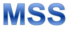 MS System Solution