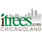 Profile picture of itrees