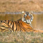 Profile picture of corbetttravels